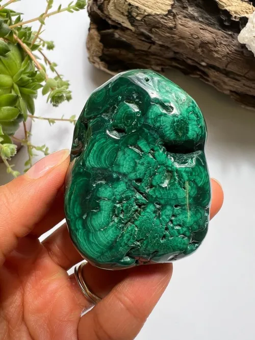 Does Malachite Green Kill Good Bacteria