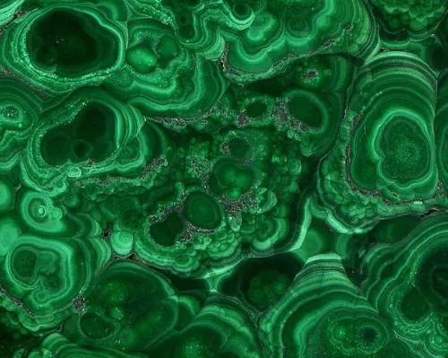 Laboratory setup showing temperature-controlled water bath and fume hood