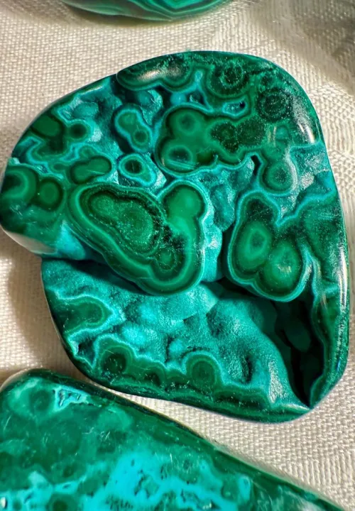 Microbial ecosystem recovery timeline visualization