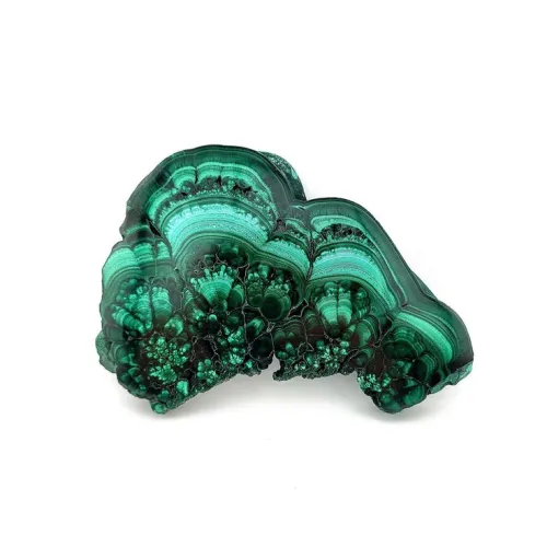 Polished malachite showing concentric banding patterns