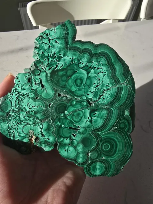 How To Use Malachite Green For Fish