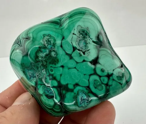 Is Velvet Malachite Toxic